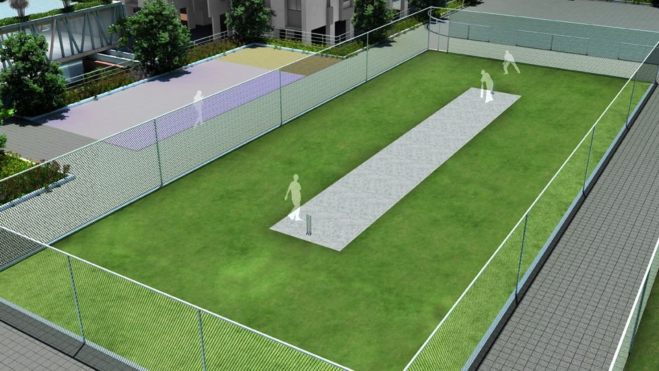 State-level cricket